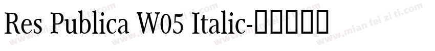 Res Publica W05 Italic字体转换